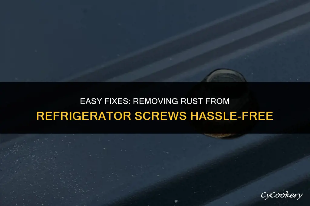 how to get rust off refrigerator screws inside refrigerator