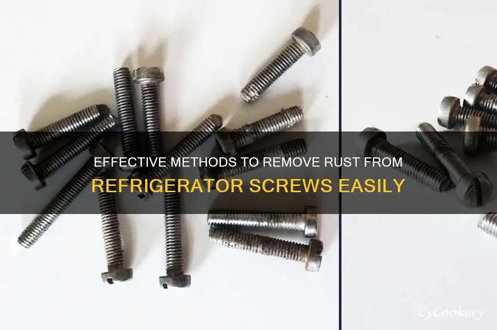 how to get rust off refrigerator screws