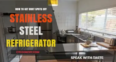 Stainless Steel Rescue: Removing Rust Spots from Your Fridge