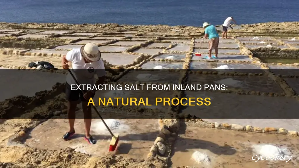 how to get salt from inland salt pans