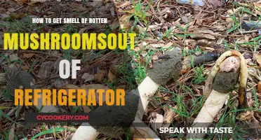 Banishing the Funky Odor: A Guide to Freshening Your Fridge After Rotten Mushrooms