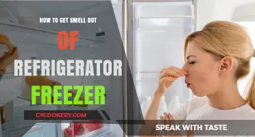 Effective Ways to Eliminate Odors from Your Refrigerator Freezer