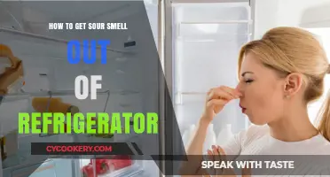 Freshen Up Your Fridge: A Guide to Eliminating Sour Odors
