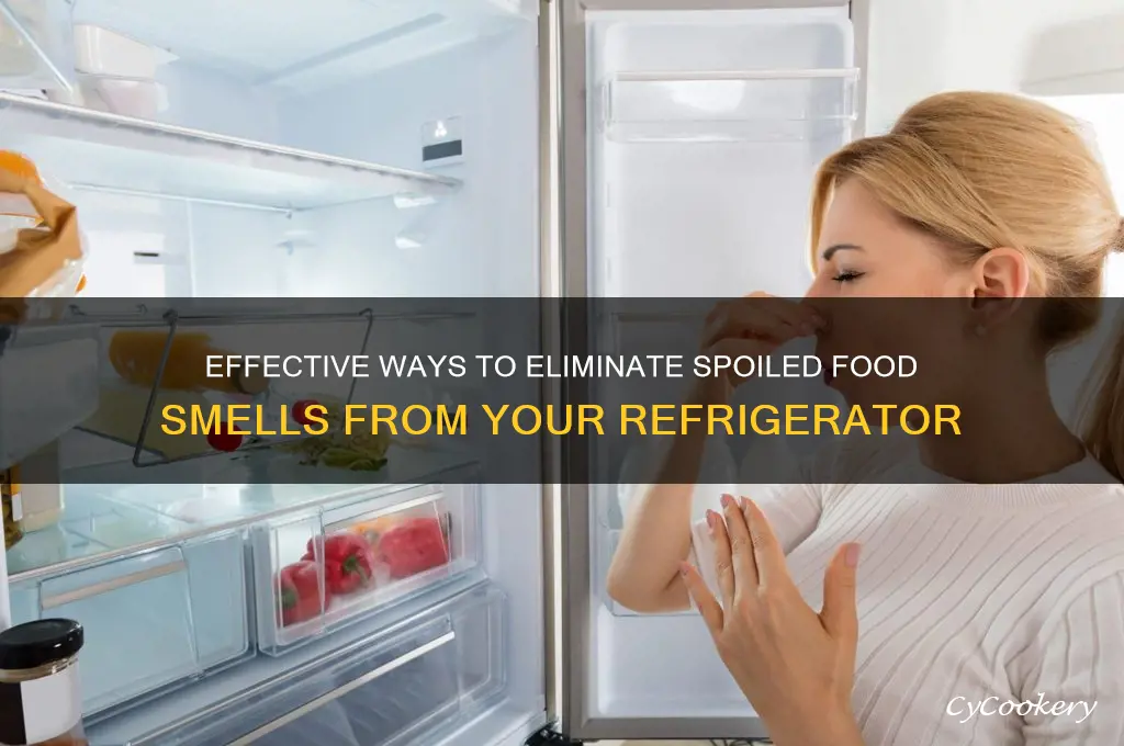 how to get spoiled food smell out of refrigerator