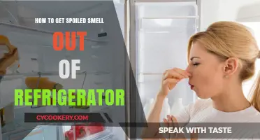 Freshen Up Your Fridge: A Guide to Eliminating Spoiled Smells