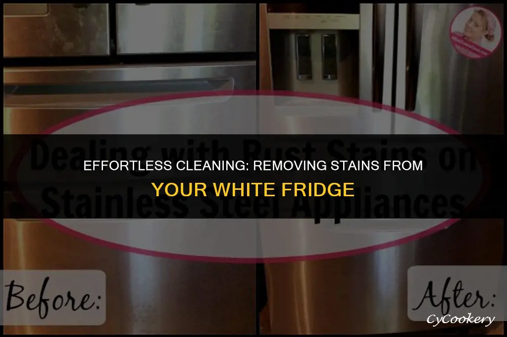 how to get stains out of white refrigerator