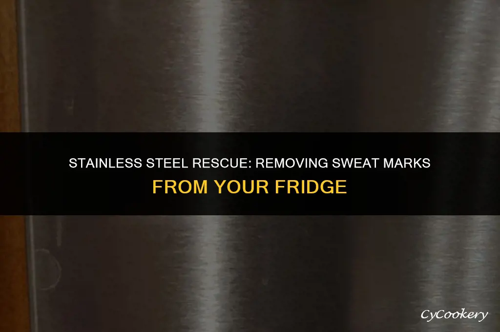 how to get sweat marks off stainless steel refrigerators