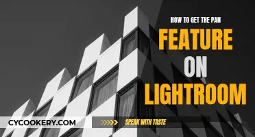 Unlocking the Pan Feature in Lightroom: A Step-by-Step Guide