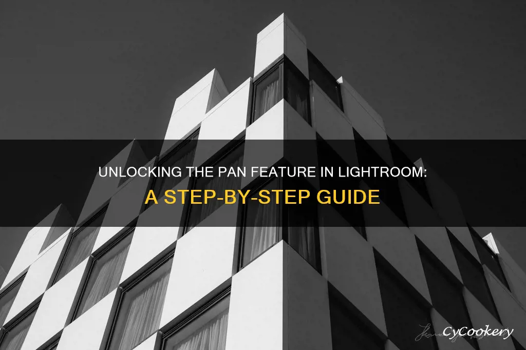 how to get the pan feature on lightroom