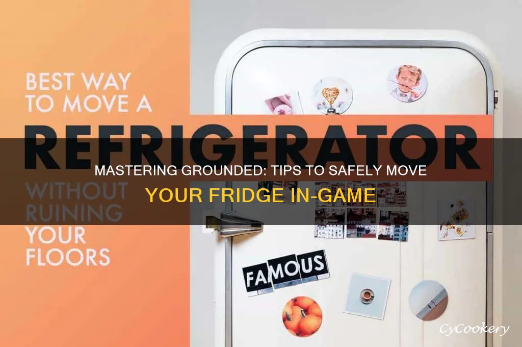 how to get the refrigerator in grounded