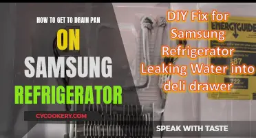 Accessing Samsung Fridge Drain Pan: A Step-by-Step Guide