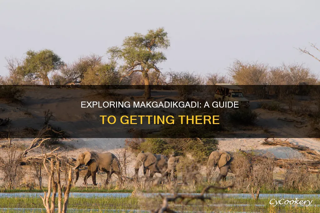 how to get to makgadikgadi pans