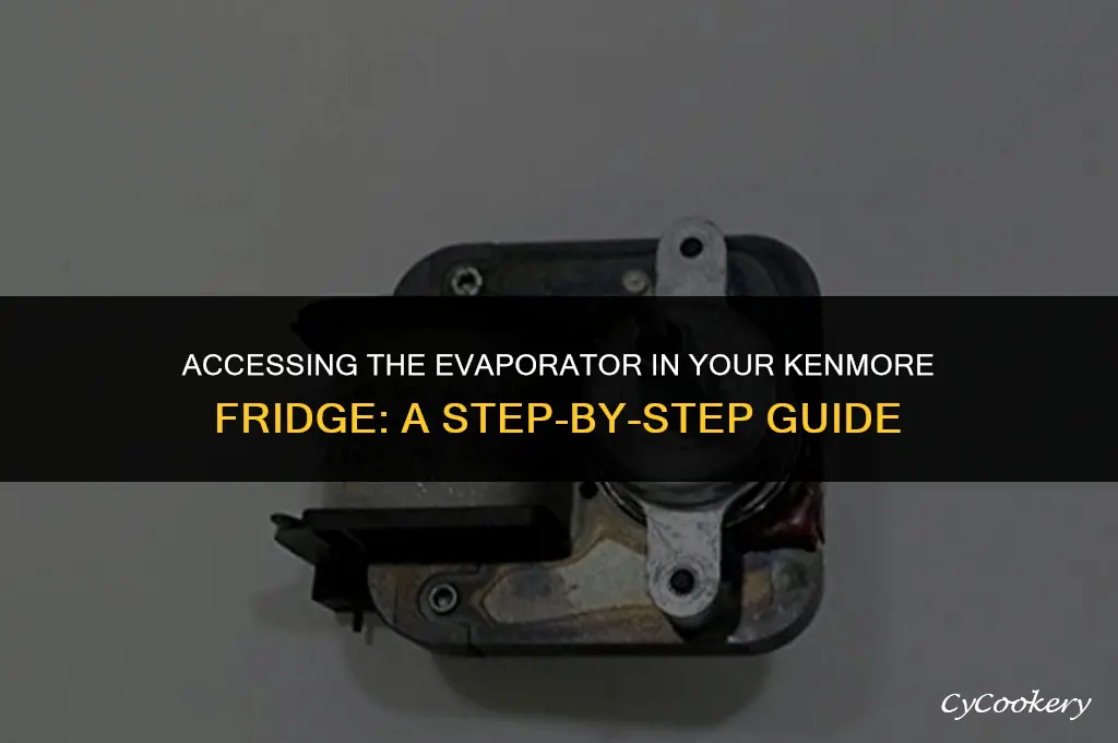 how to get to the evaporator on kenmore refrigerator