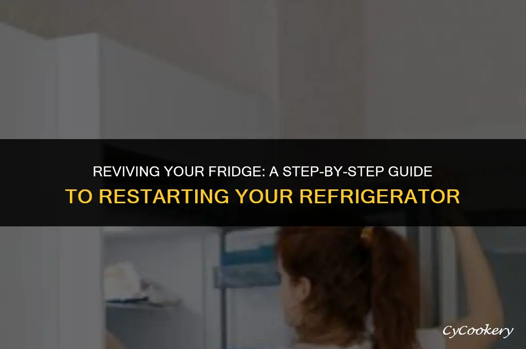 how to get ur refrigerator ro start eorking agaun
