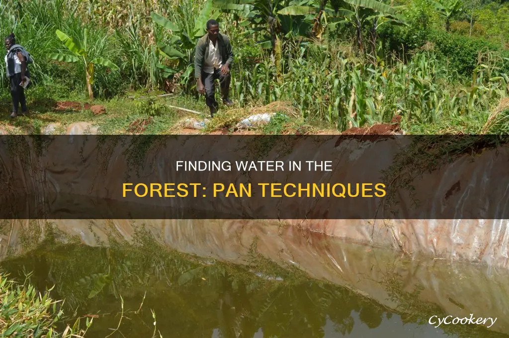 how to get water in a pan the forest