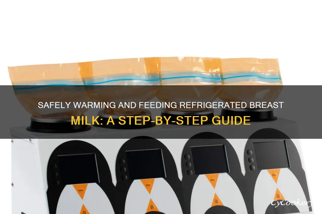 how to give breast milk after refrigeration