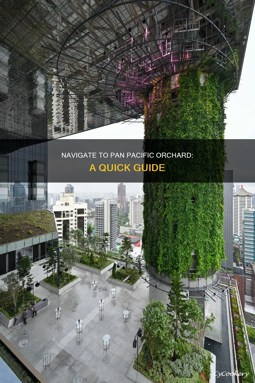 how to go pan pacific orchard