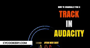 Panning Tracks in Audacity: A Step-by-Step Guide