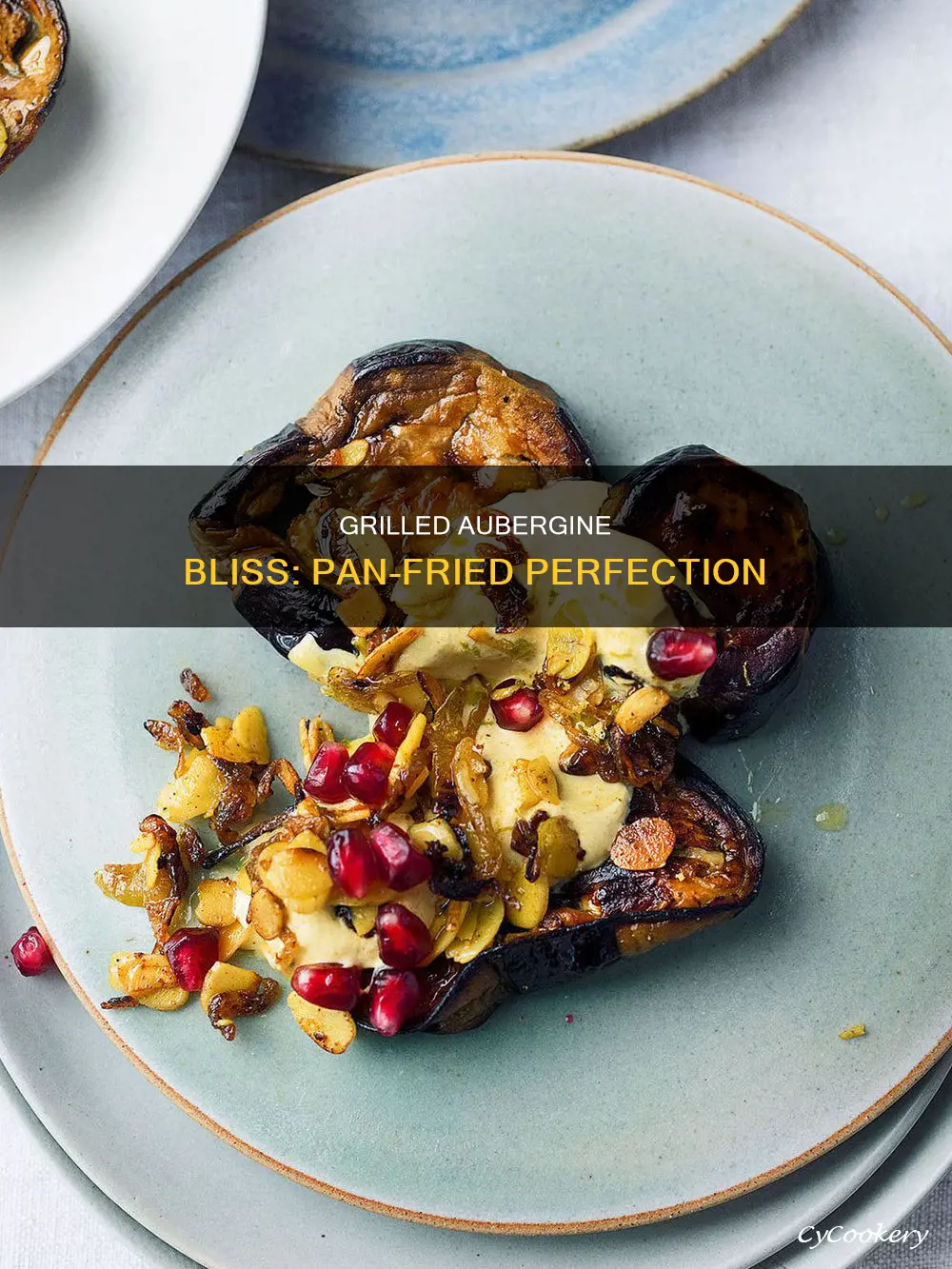 how to grill aubergine in pan
