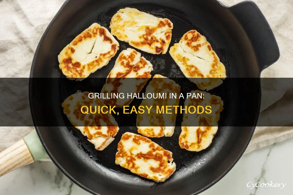 how to grill halloumi in pan