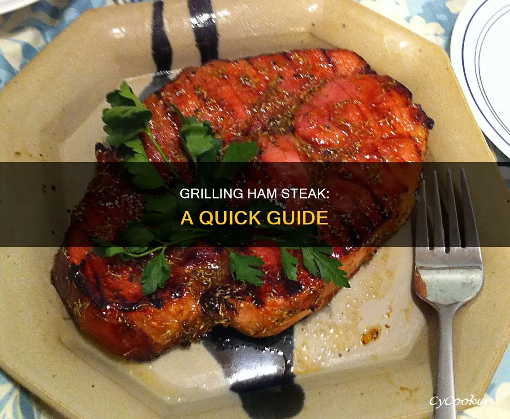 how to grill ham steak with grill pan