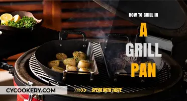 Grilling Indoors: Mastering the Grill Pan