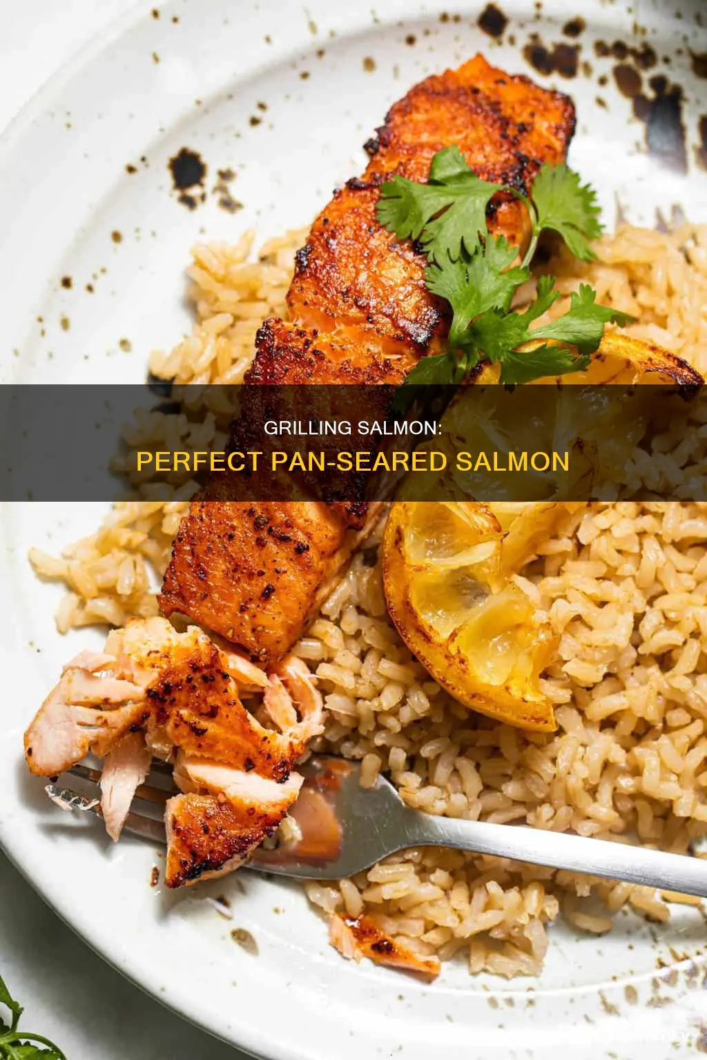how to grill pan salmon