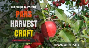 Grow Your Own Apples: From Seed to Harvest