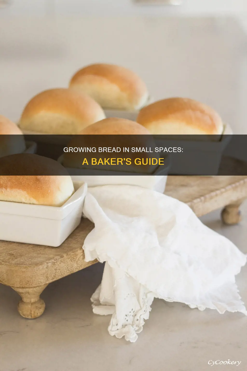 how to grow bread in a small bread pan