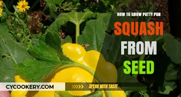 Grow Patty Pan Squash: A Seed-to-Squash Guide