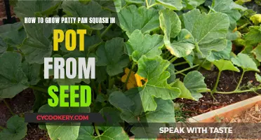 Patty Pan Squash: Pot-to-Plate