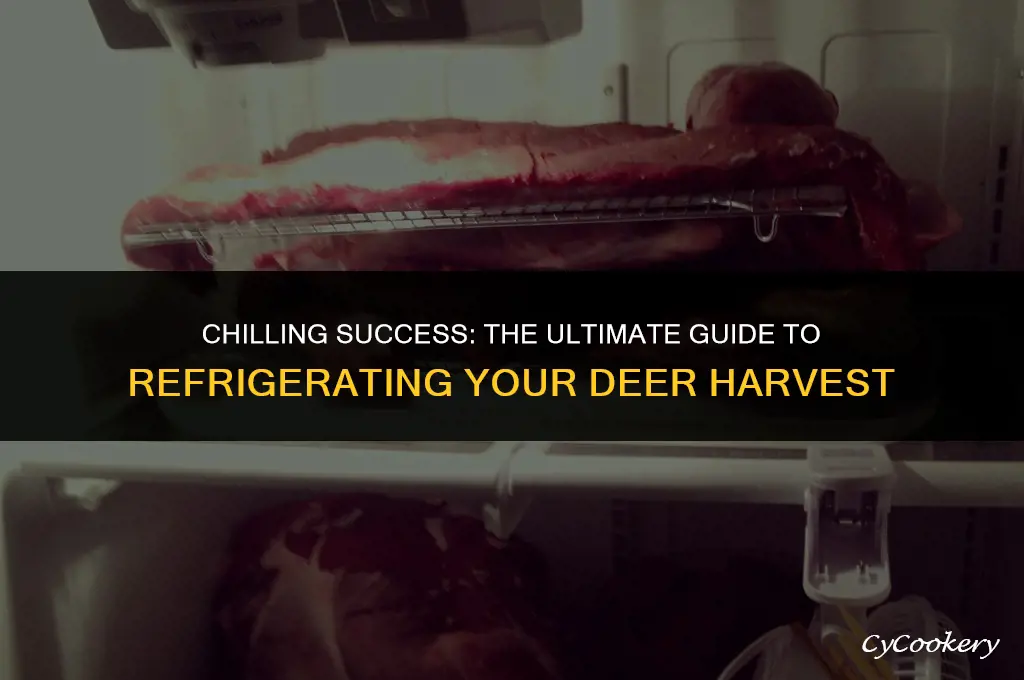 how to hang a deer in a refrigerator