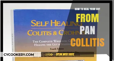 Healing Pan Colitis: Gut Health and Diet
