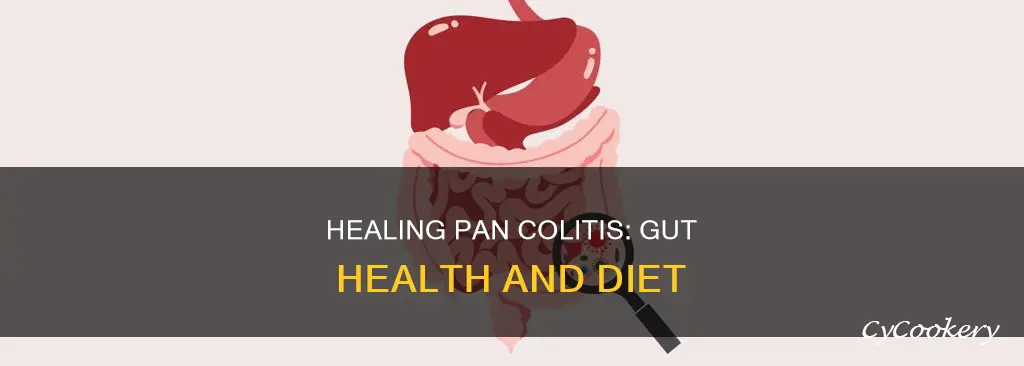 how to heal your gut from pan collitis