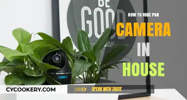 Concealing Pan Cameras: Creative Hiding Spots in Your Home