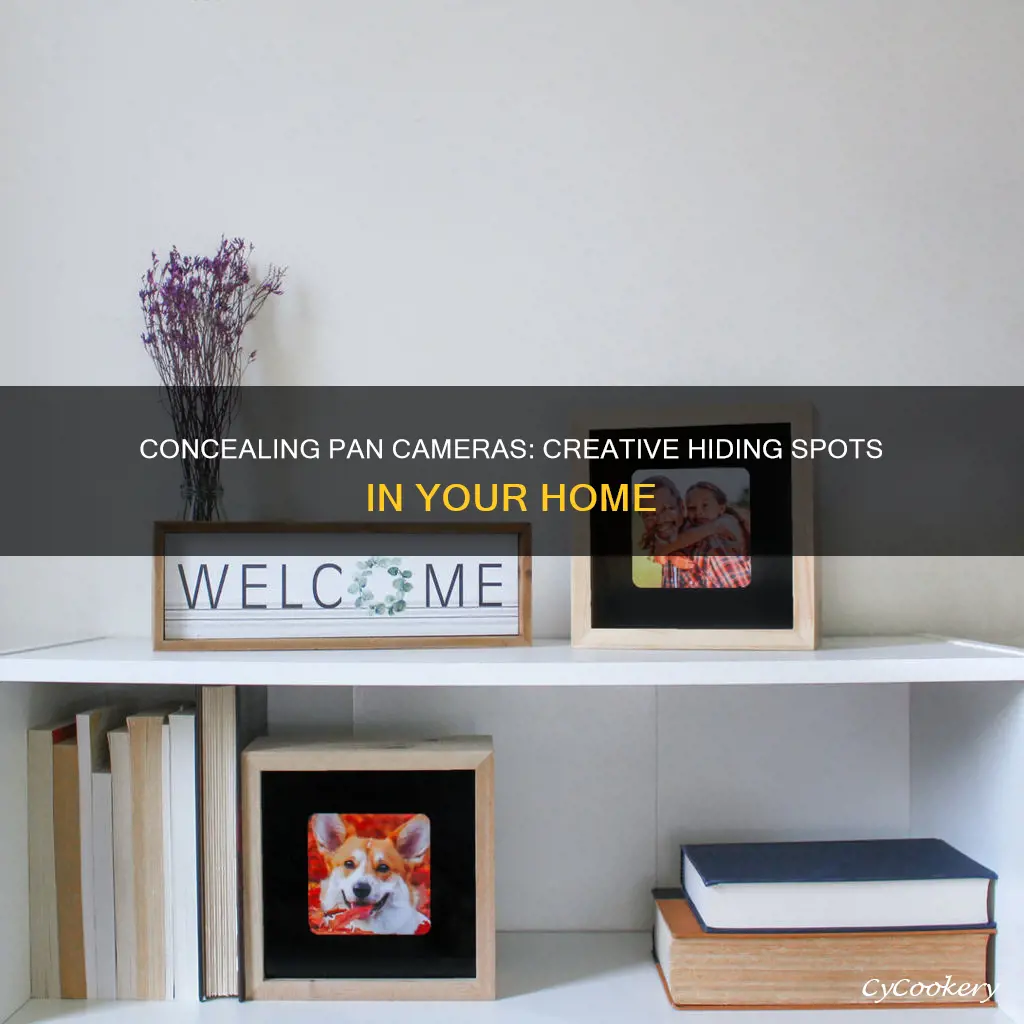 how to hide pan camera in house