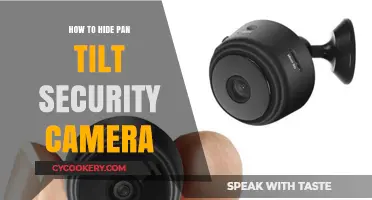 Concealing Pan Tilt Security Cameras: Stealth Strategies
