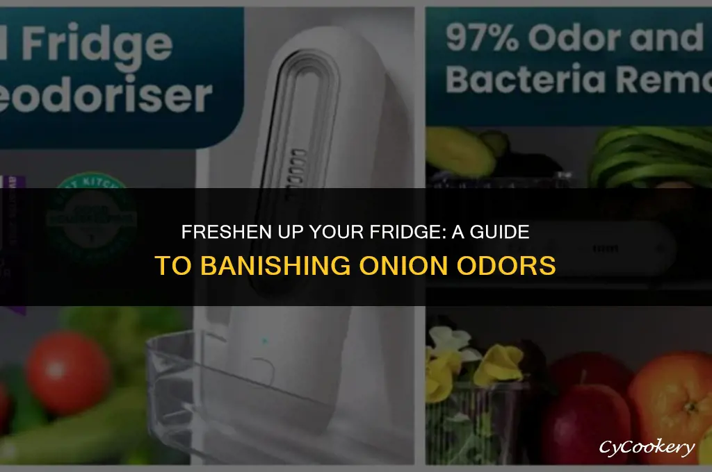 how to hide the odor of onion in refrigerator