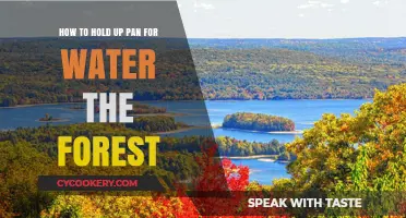 Explore the Forest's Secrets: Pan for Water