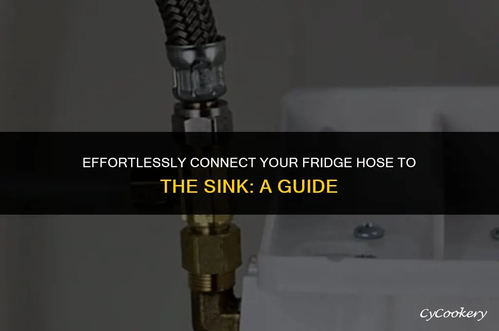 how to hook a hose from refrigerator into sink