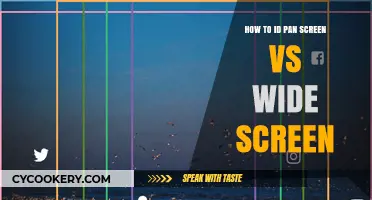 Identifying Pan and Screens: Aspect Ratio Insights