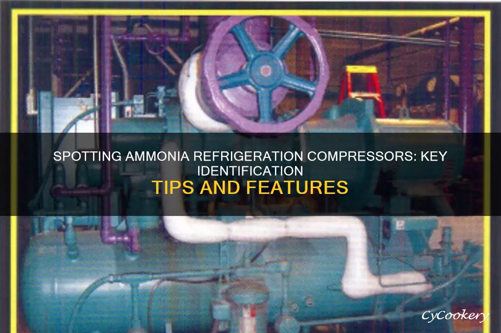 how to identify an ammonia refrigeration compressor