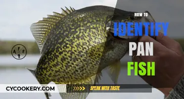 Recognizing Pan Fish: A Guide to Identifying Catch