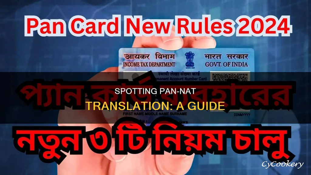 how to identify pan nat translation