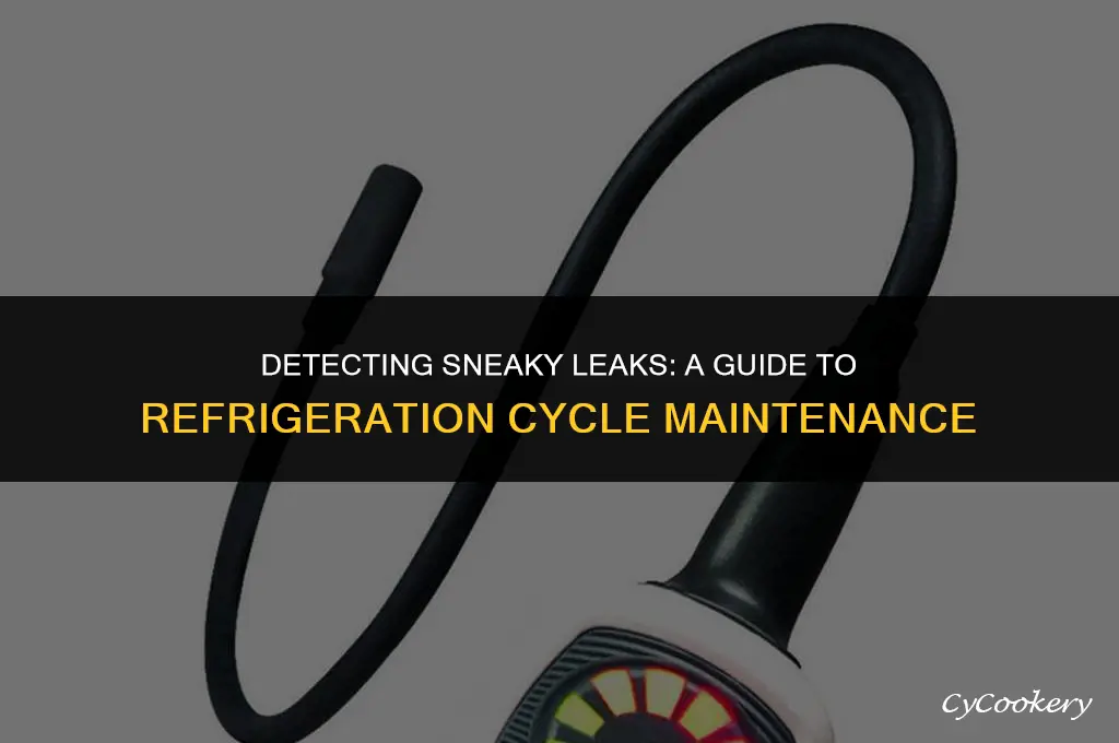 how to identify small leakage in refrigeration cycle