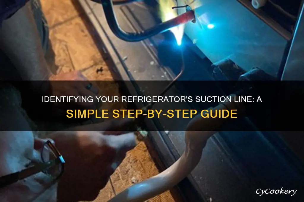 how to identify suction line on refrigerator