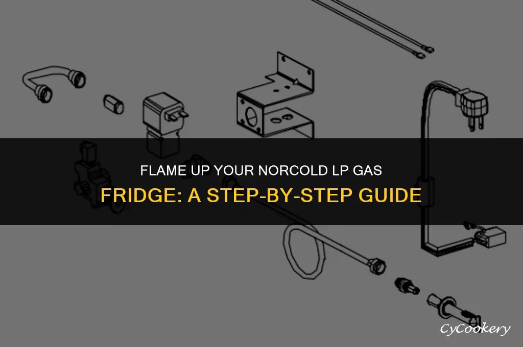 how to ignite a norcold lp gas refrigerator