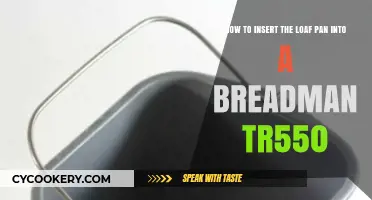 Inserting the Loaf Pan: Breadman TR550 Guide