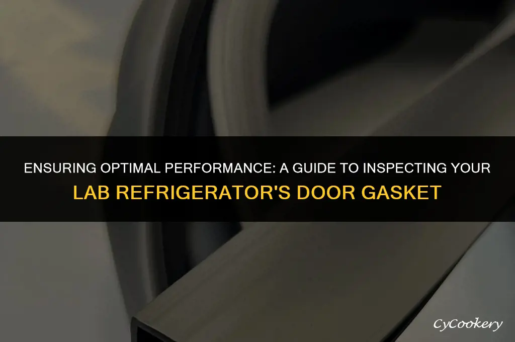 how to inspect door gasket of laboratory refrigerator