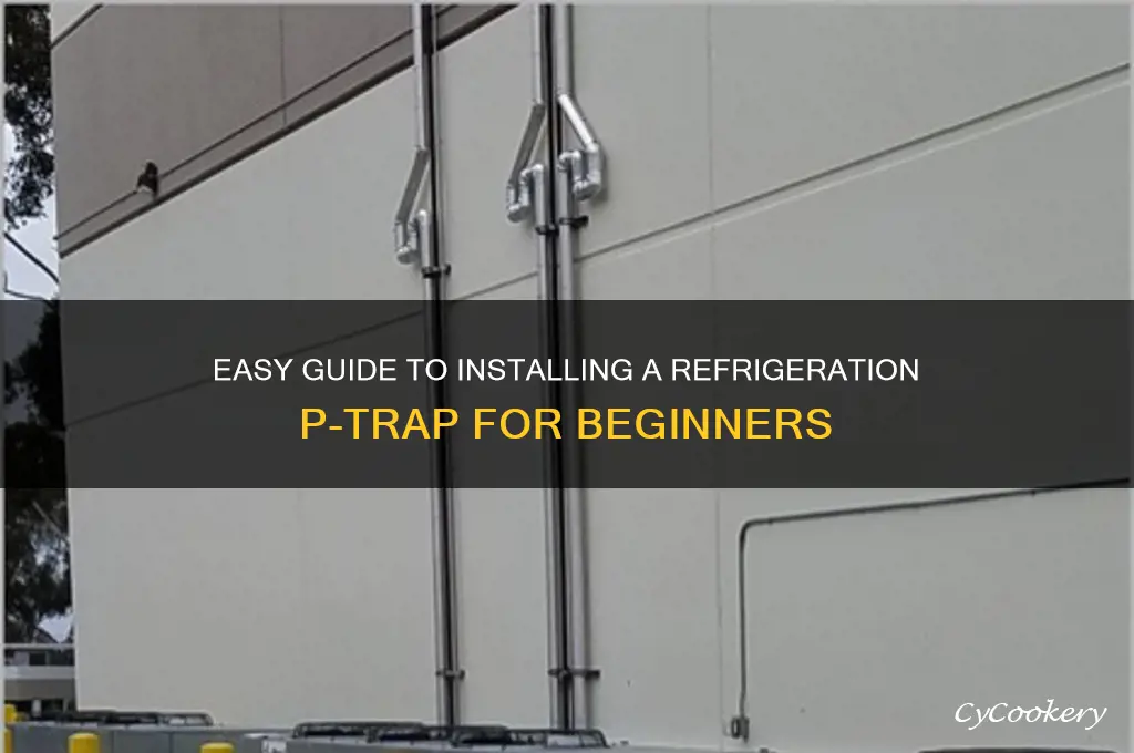 how to install a refrigeration p trap
